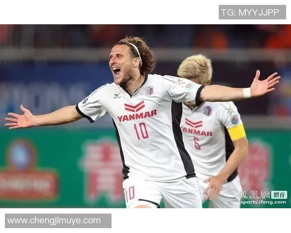 足球明星副弗兰的传奇人生与绿茵场上的辉煌成就解析